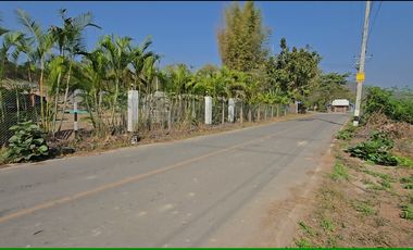 Land for sale in Nong Yaeng, Chiang Mai