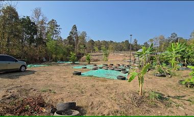 Land for sale in Nong Yaeng, Chiang Mai