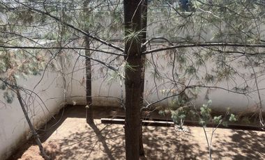 Casa en Renta en Jardines del campestre