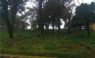 Se Vende Terreno Altos de Maria- La Chorrera (DR)