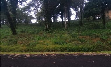 Se Vende Terreno Altos de Maria- La Chorrera (DR)