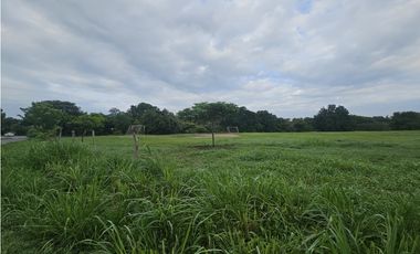 Finca comercial en venta  de 1 Has  Penonome (DR)