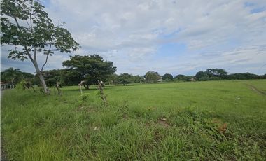 Finca comercial en venta  de 1 Has  Penonome (DR)