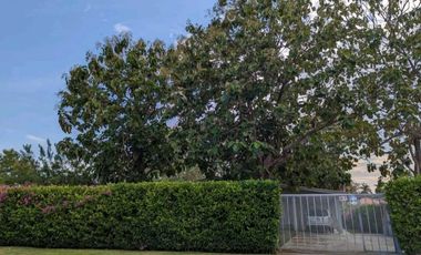 SE ALQUILA HERMOSA CASA DE PLAYA EN SANTA CLARA NORTE. COCLÉ