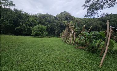 Finca en venta  de 1.5 HAS en Penonomé (DR)