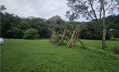 Finca en venta  de 1.5 HAS en Penonomé (DR)