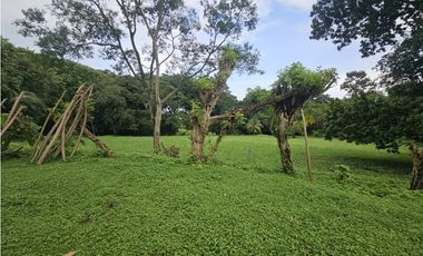 Finca en venta  de 1.5 HAS en Penonomé (DR)