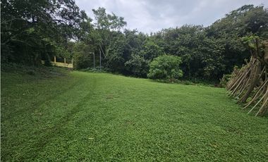 Finca en venta  de 1.5 HAS en Penonomé (DR)