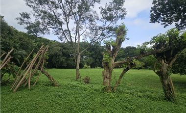Finca en venta  de 1.5 HAS en Penonomé (DR)