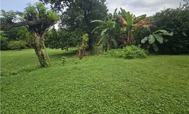 Finca en venta  de 1.5 HAS en Penonomé (DR)