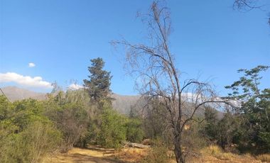 Parcela en Venta en Calle Tres