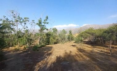 Sitio en Venta en Calle Tres