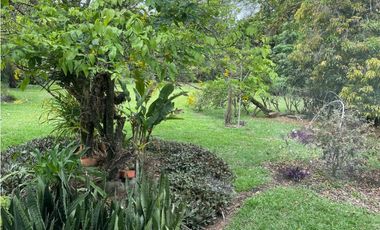 CASA INDEPENDIENTE EN PANCE CON PISCINA Y RODEADA DE VERDE