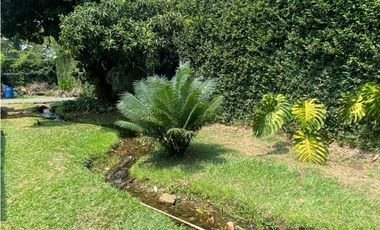 CASA  INDEPENDIENTE CON PISCINA Y AMPLIA ZONA VERDE