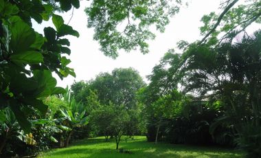 CASA AMPLIA Y RODEADA DE VERDE  EN LA MORADA