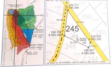 Sitio en Venta en Sector Talinay Bajo