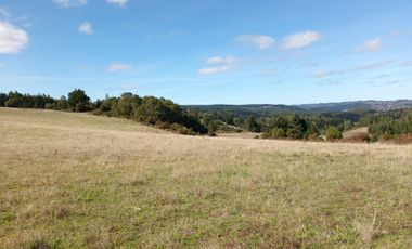 LINDO CAMPO DE 15 5 H EN CARAHUE