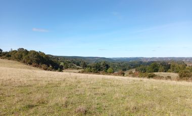 LINDO CAMPO DE 15 5 H EN CARAHUE