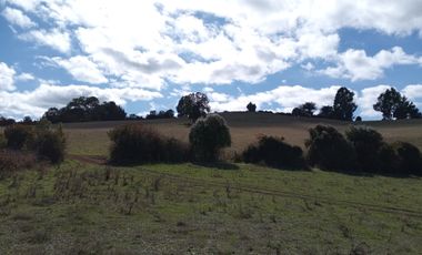 LINDO CAMPO DE 15 5 H EN CARAHUE