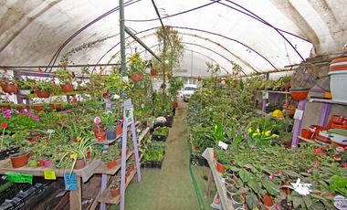 Derecho de llaves Tienda de plantas