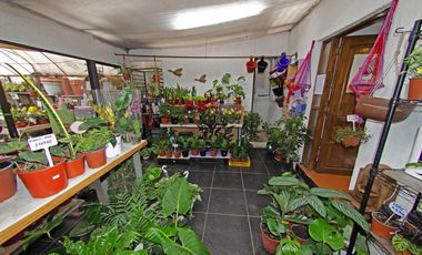 Derecho de llaves Tienda de plantas