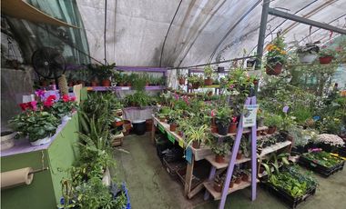 Derecho de llaves Tienda de plantas
