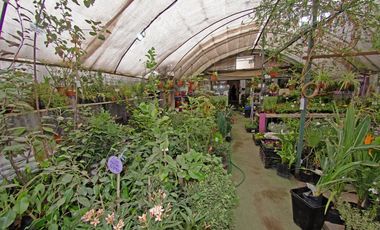 Derecho de llaves Tienda de plantas