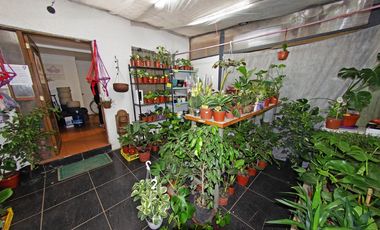 Derecho de llaves Tienda de plantas