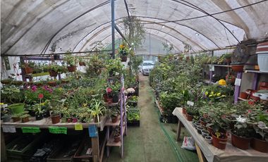 Derecho de llaves Tienda de plantas