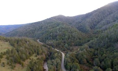 Agrícola en Venta en Yerbas Buenas Hijuela 40