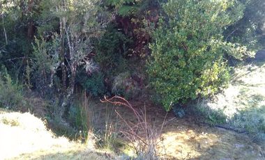 Agrícola en Venta en Yerbas Buenas Hijuela 40