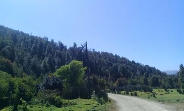 Agrícola en Venta en Yerbas Buenas Hijuela 40