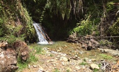 Agrícola en Venta en Yerbas Buenas Hijuela 40