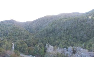 Agrícola en Venta en Yerbas Buenas Hijuela 40