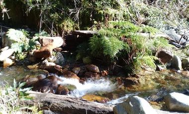 Agrícola en Venta en Yerbas Buenas Hijuela 40