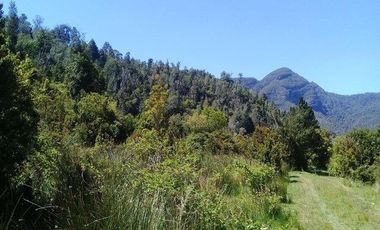 Agrícola en Venta en Yerbas Buenas Hijuela 40