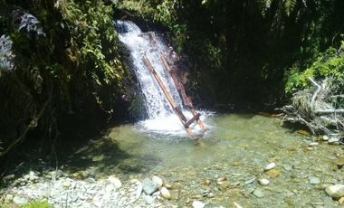 Agrícola en Venta en Yerbas Buenas Hijuela 40
