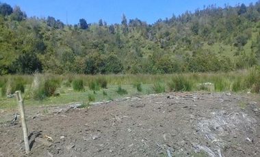 Agrícola en Venta en Yerbas Buenas Hijuela 40