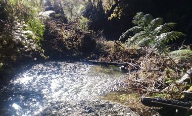 Agrícola en Venta en Yerbas Buenas Hijuela 40