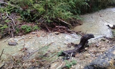 Agrícola en Venta en Yerbas Buenas Hijuela 40
