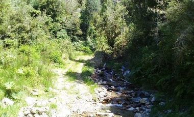 Agrícola en Venta en Yerbas Buenas Hijuela 40