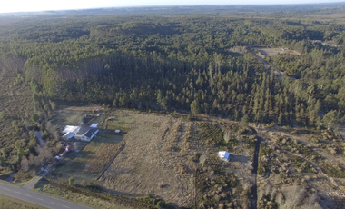 Agrícola en Venta en ruta V-854 ruta a El Jardín