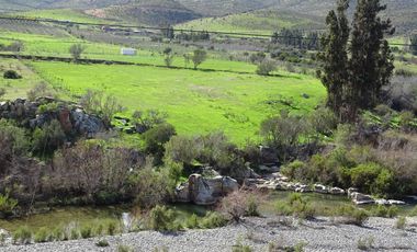 Parcelas 5.000 M2, Pintacura, Illapel, Coquimbo, Borde Rio