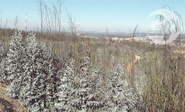 Sitio en Venta en RUTA F-720 CAMINO LA POLVORA PLACILLA