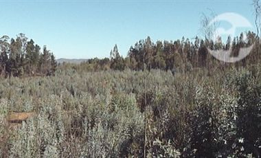 Sitio en Venta en RUTA F-720 CAMINO LA POLVORA PLACILLA