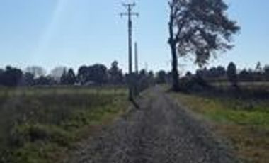 Sitio en Venta en Camino Antuco KM 14