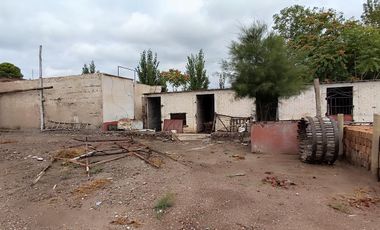 FINCA EN RIVADAVIA
