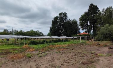 FINCA EN RIVADAVIA