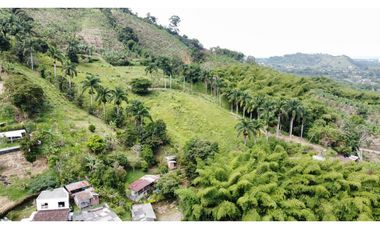 Estupendo lote para la venta por Combia via a Marsella