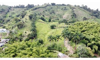 Estupendo lote para la venta por Combia via a Marsella